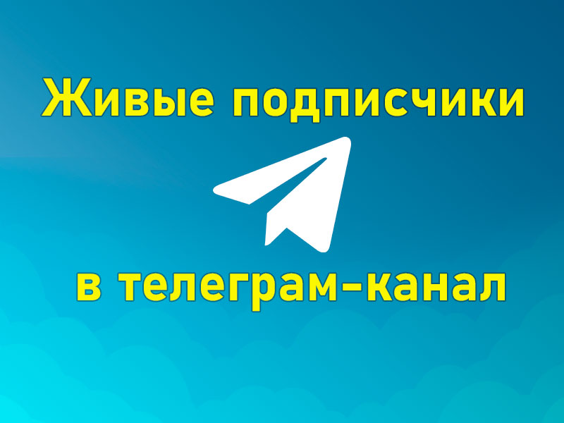 Подписчики в телеграм-канал